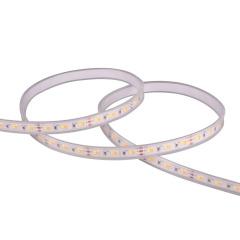 10mm 12V 120leds/m CCT 2835 LED strip