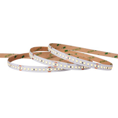 10mm 24V 160leds/m High Efficiency 2835 LED strip