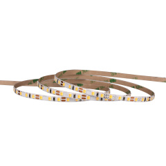 8mm 12V/24V 120leds/m 2 in 1 CCT 2835 LED strip