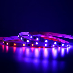 10mm 12V 48leds/m WS2811 LED Strip