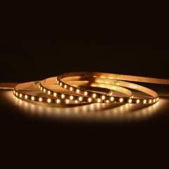 8mm 12V/24V 120leds/m 2 in 1 CCT 2835 LED strip