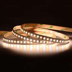 10mm 24V 168leds/m CCT 2835 LED strip