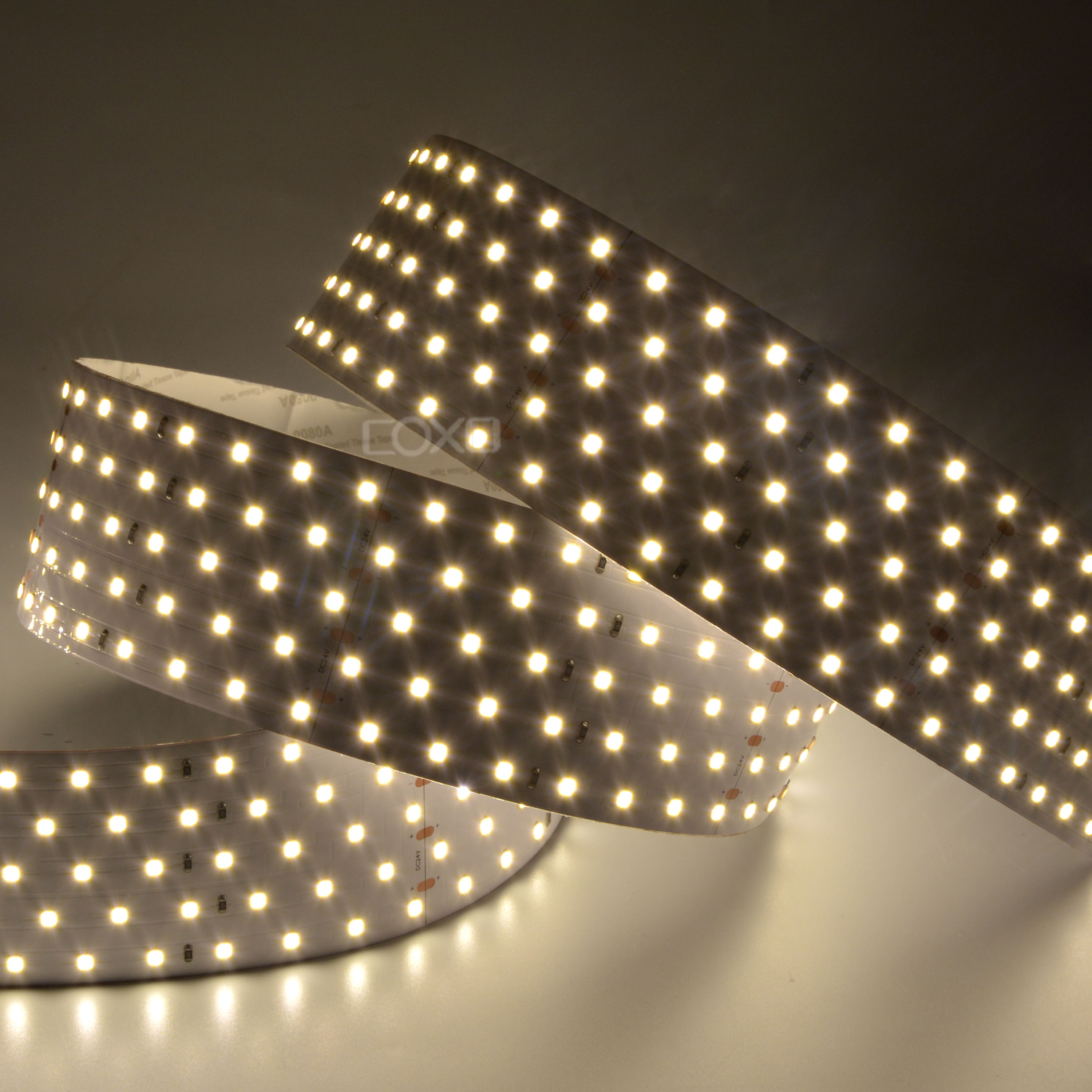 58mm 24V Five line 350leds/m High Efficiency 2835 LED strip