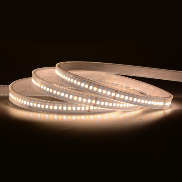 10mm 24V 224eds/m 2835 CCT LED strip