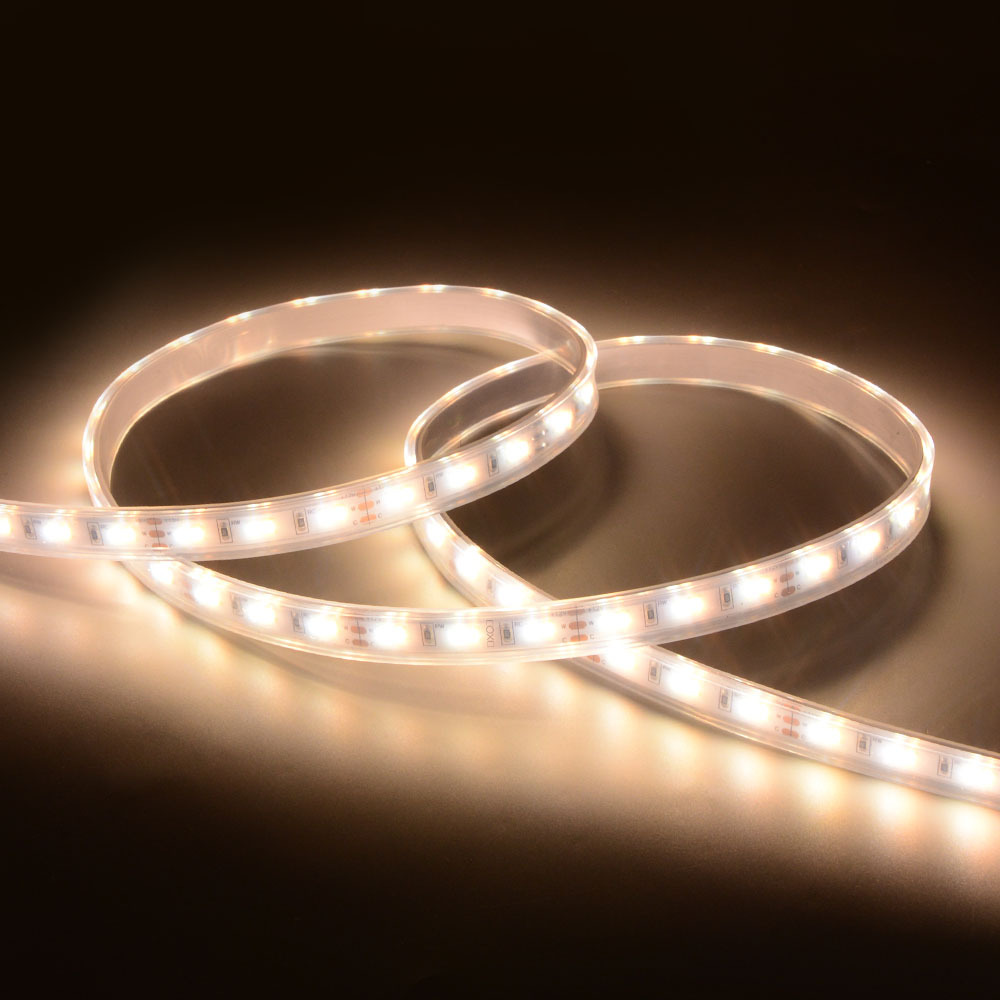 10mm 12V 120leds/m CCT 2835 LED strip