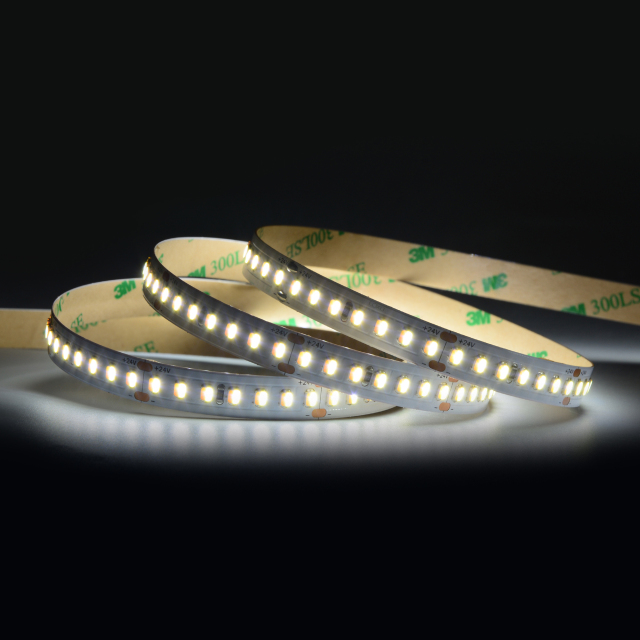 10mm 24V 168leds/m 2 in 1 CCT 2835 LED strip