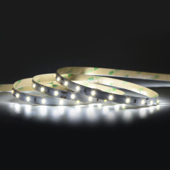 8mm 12V/24V 60leds/m 2 in 1 CCT 2835 LED strip