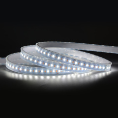 10mm 24V 224leds/m CCT 2835 LED strip