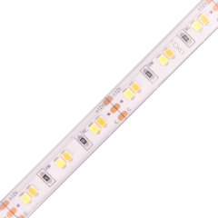 10mm 12V 120leds/m CCT 2835 LED strip