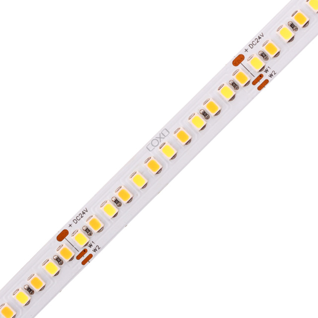 10mm 24V 168eds/m CCT 2835 LED strip