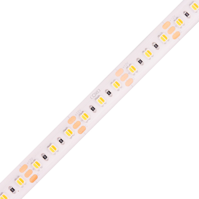 10mm 12V 120leds/m 2 in 1 CCT LED strip