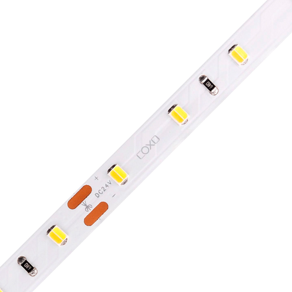 8mm 12V/24V 60leds/m 2 in 1 CCT 2835 LED strip