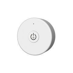 R1-1 RF Remote with Magnet Back