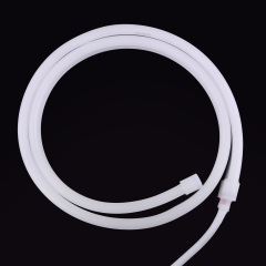 N0816SR S Type Side Bend Single Color NEON Light