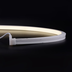 N1616W W Type Top Bend Single Color NEON Light