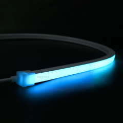 N1616W Swimming Pool Digital NEON Light
