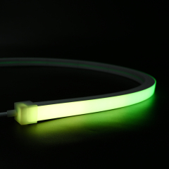 N1616W Swimming Pool Digital NEON Light