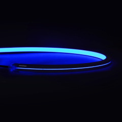 N1616W High light transmittance Environment-friendly silicone RGB+X NEON Light