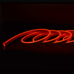 NB0612 Single Color Neon Light