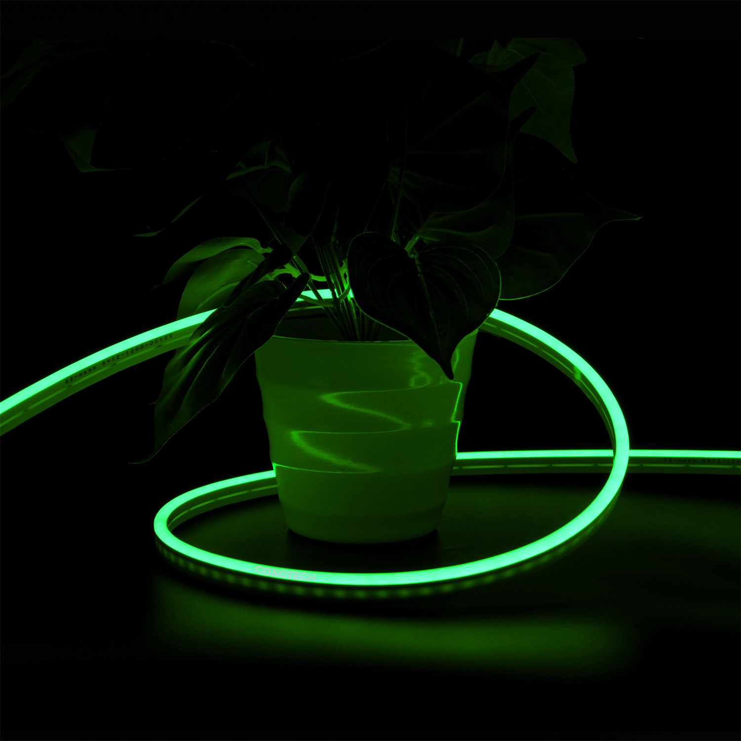 NB0612 Single Color Neon Light