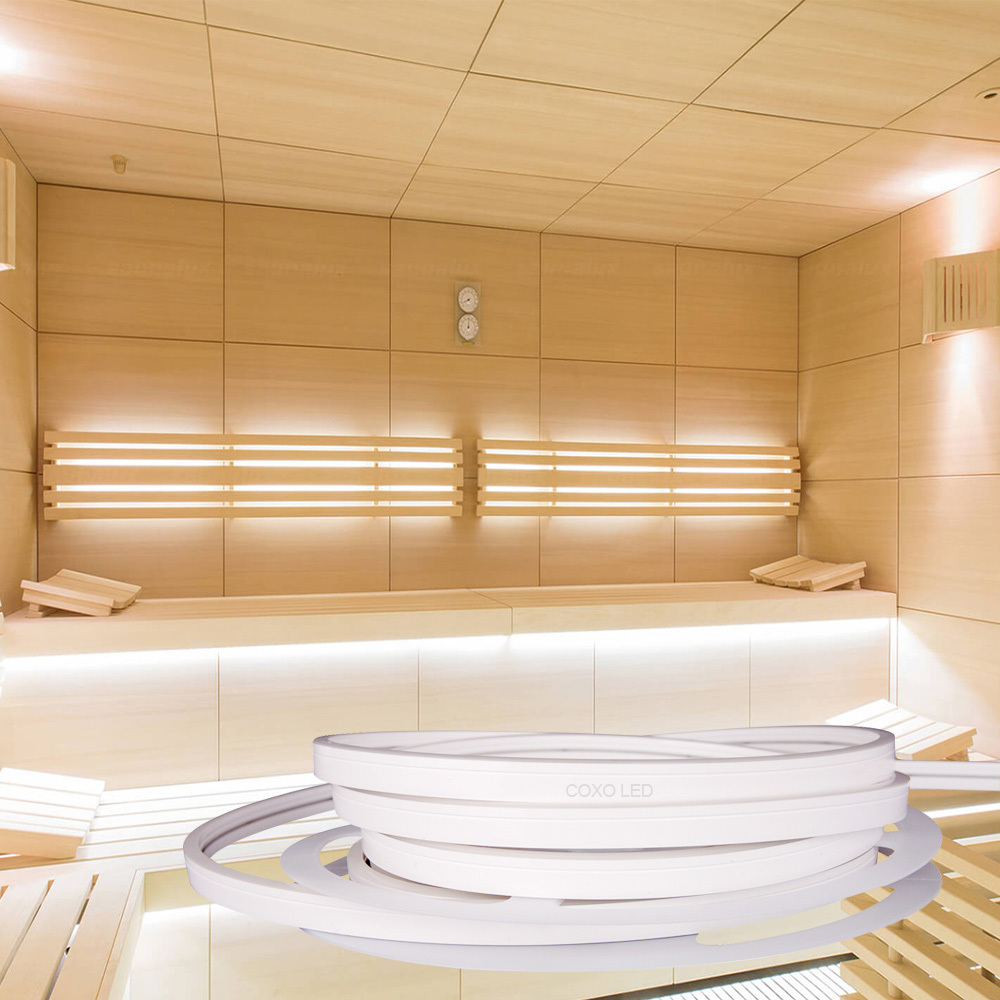 NS1010S Sauna Neon Light
