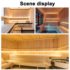 NS1220S Sauna Neon Light