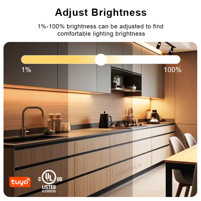 UL Tuya Wifi RF LED Dimmer CCT RGB RGBW RGBCCT Controller