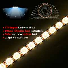 120 Double Lines 24V CCT Flexible Diffuse Reflection LED Strip