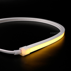 V1010W 20M IP66 Single Color NEON Light