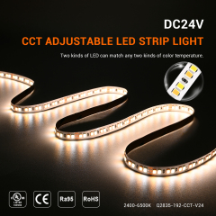 8mm 24V 192leds/m Ra93 CCT 2835 LED Strip