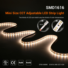 5mm 24V 240leds/m Ra95 CCT 1616 LED Strip