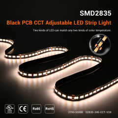 10mm 24V 240leds/m Ra95 Black PCB CCT 2835 LED Strip