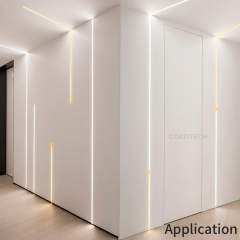 10mm 24V 120leds/m 2835 2811 Digital LED strip