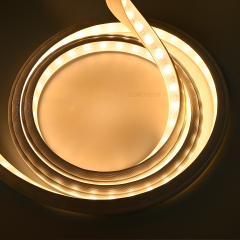 3D1816 42leds Wall Washer NEON Light