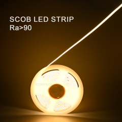 A6000 320LEDs R90 5Years Warranty 8mm SCOB LED STRIP