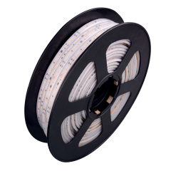 PSF 120leds Ra80 2 Years Warranty 12mm 120V High Voltage SMD LED Strip
