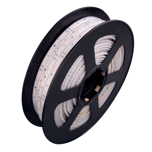 PSF 120leds Ra80 2 Years Warranty 12mm 120V High Voltage SMD LED Strip
