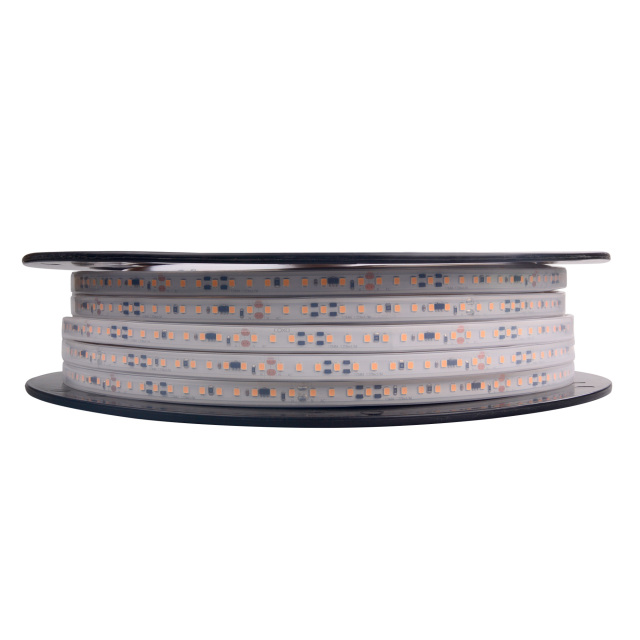 PSF 120leds Ra80 2 Years Warranty 12mm 120V High Voltage SMD LED Strip