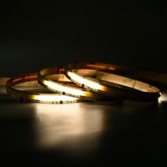 S5000 576leds/m R90 5 Years Warranty 10mm Digital CCT COB LED Strip
