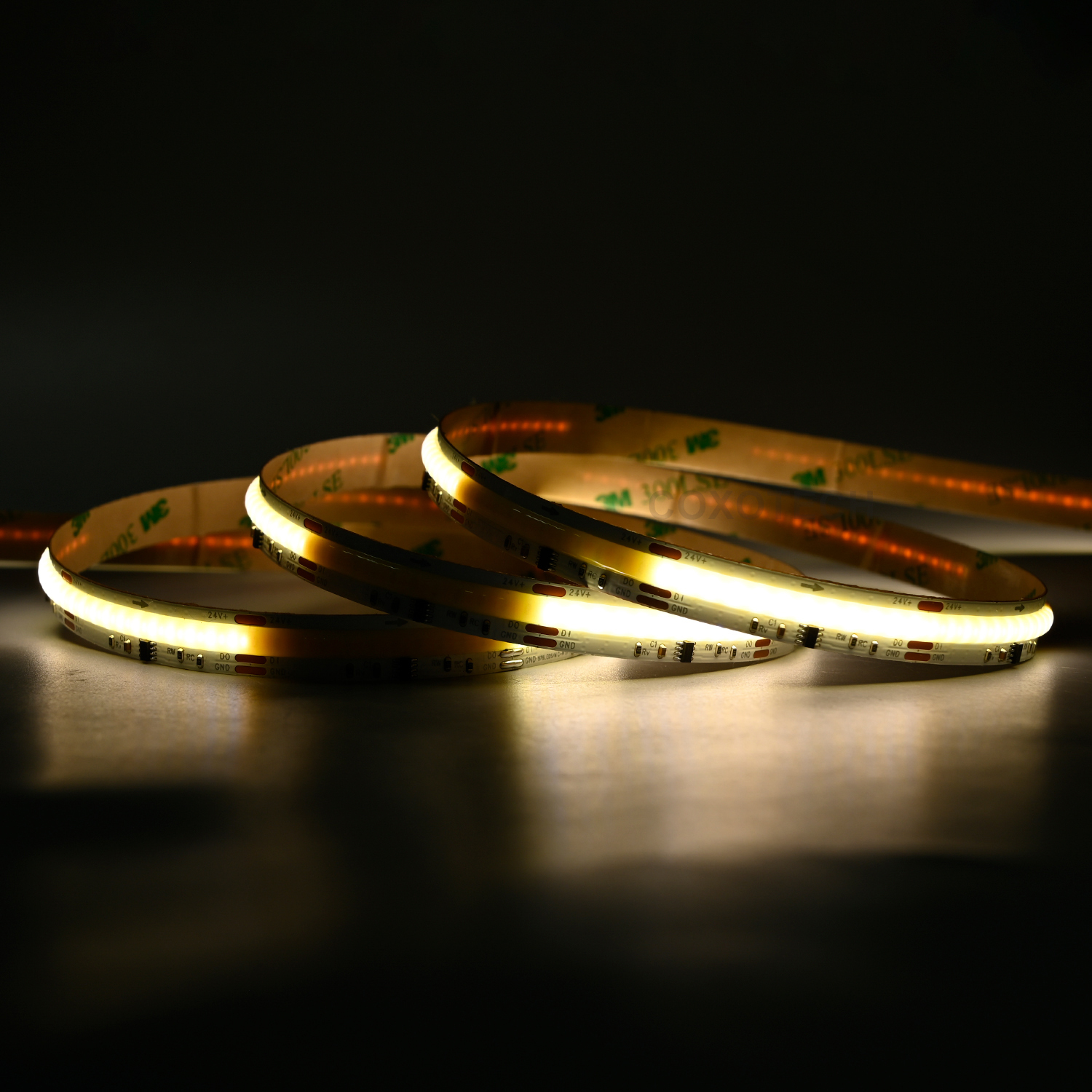 S5000 576leds/m R90 5 Years Warranty 10mm Digital CCT COB LED Strip