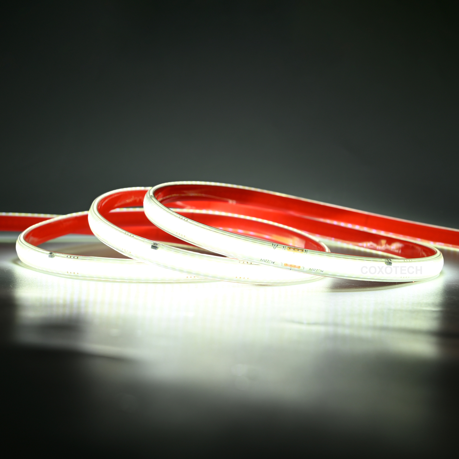 J2000-E 296leds Ra80 2 Years Warranty 10mm 110V-120V High Voltage COB LED Strip