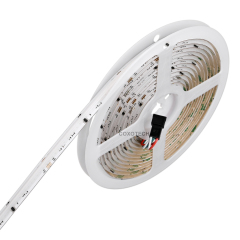 S5000 576leds/m 5 Years Warranty 10mm Digital RGB COB LED Strip