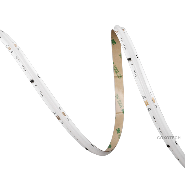 S5000 576leds/m 5 Years Warranty 10mm Digital RGB COB LED Strip
