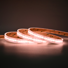 A5000 840leds/m Ra90 5 Years Warranty 12mm IP68 Waterproof COB RGBCCT LED Strip