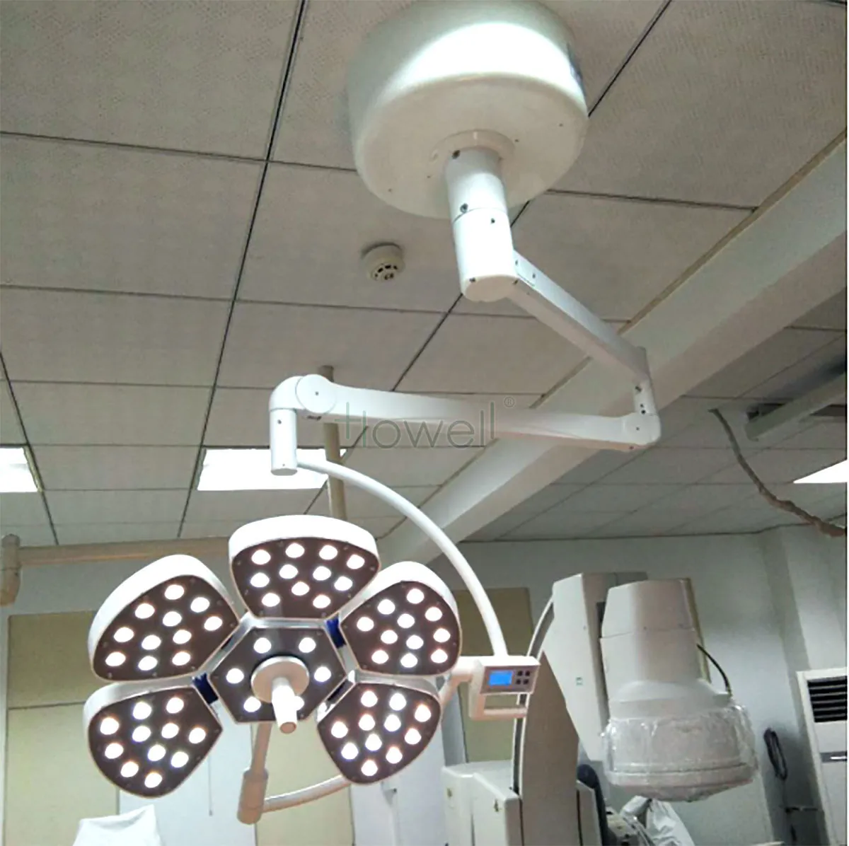 OP-Luz