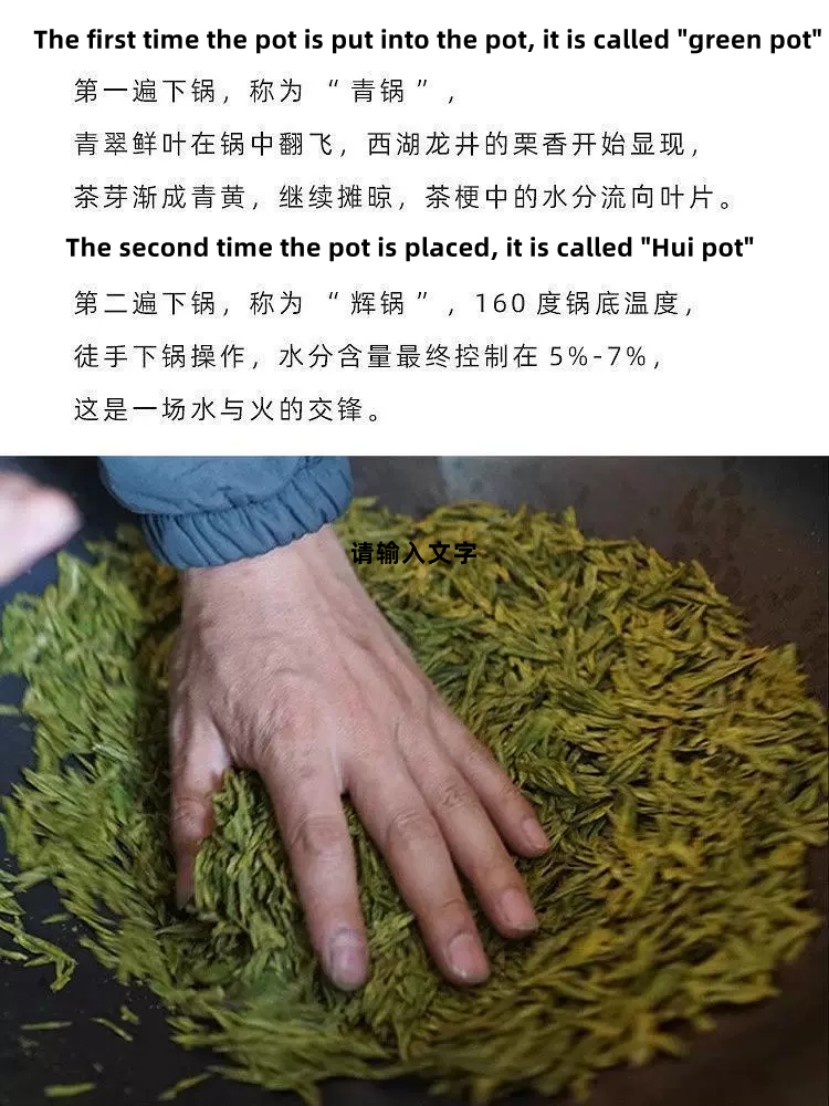 No. 43 Green Tea Longjing Tea 500g