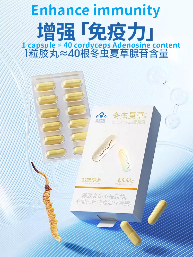 Cordyceps Cordyceps Capsules Nourishing Nutrition 1 box24 capsules