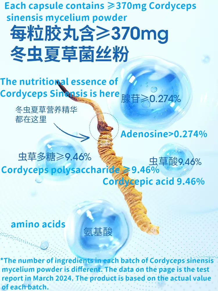 Cordyceps Cordyceps Capsules Nourishing Nutrition 1 box24 capsules