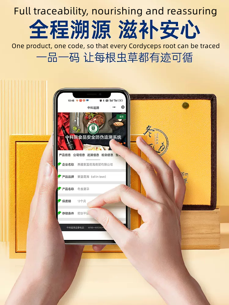 Cordyceps sinensis gift box 20g selection