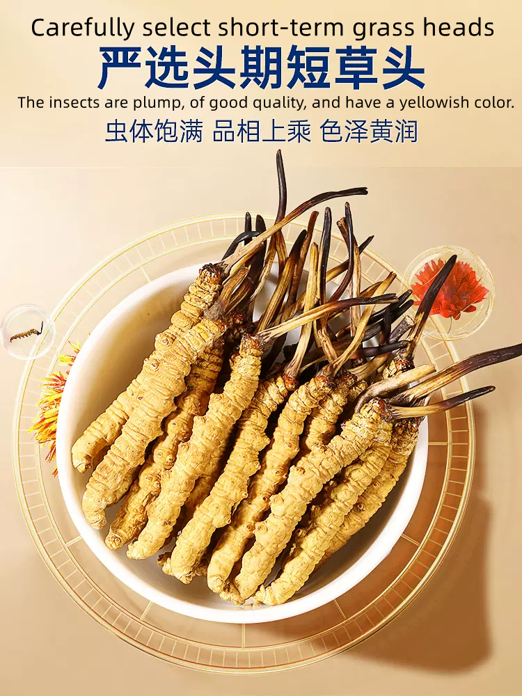 Cordyceps sinensis gift box 20g selection